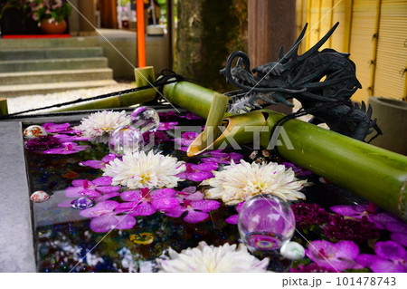 手水舎　蛇窪神社　東京都品川区二葉 101478743