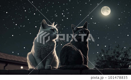 Two cat lovers sit on the roof at night created with generative AI technology 101478835