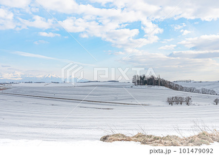 美瑛町の冬 101479092