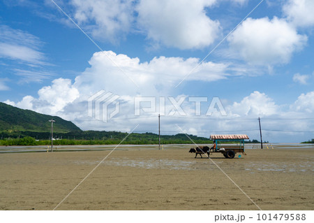 由布島　海を渡る水牛車 101479588