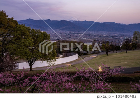 笛吹川フルーツ公園で見た春爛漫の夕景 笛吹川フルーツ公園で見た春爛漫の夕景 101480483