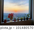 窓から見る夕焼けと観葉植物たち 101480570