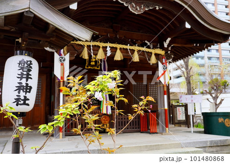 磐井神社 東京都大田区大森北 磐井神社 東京都大田区大森北 101480868