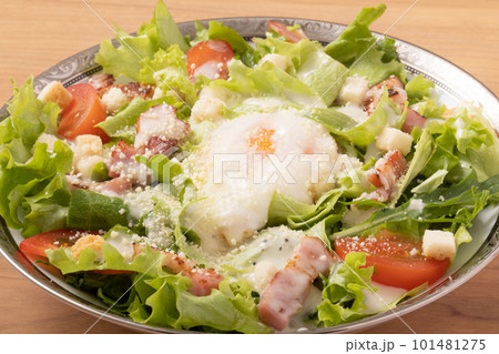 シーザーサラダ 101481275