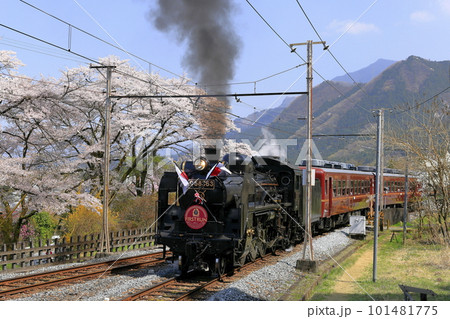 春の秩父鉄道SL 101481775