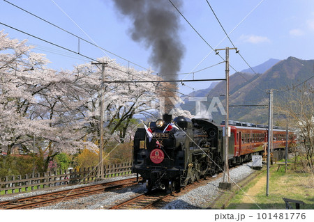 春の秩父鉄道SL 101481776