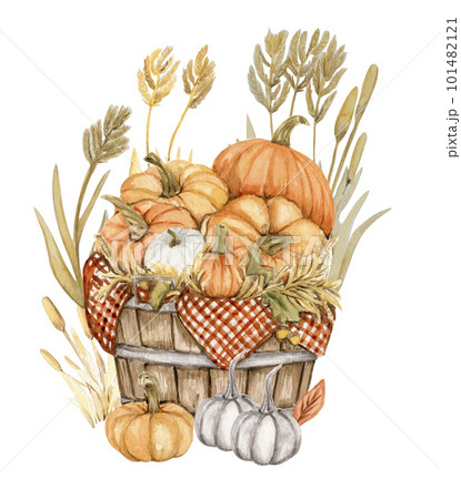 Watercolor composition of an old wooden cart and pumpkins. An old rusty enamel element. Hand-drawn illustration with watercolour on a white background. Perfect for wedding invitation, greetings card. 101482121