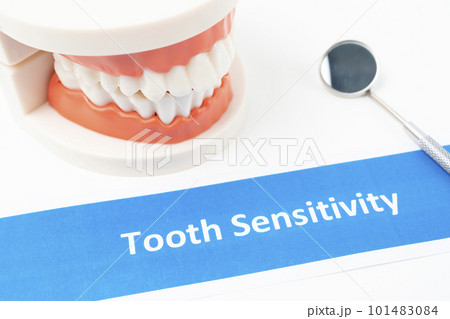 The Dentures model with tooth sensitivity dental disease on white background. The Dentures model with tooth sensitivity dental disease on white background. 101483084