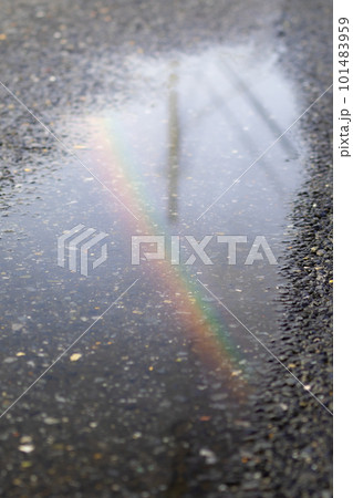 雨上がりの水溜りにできた虹 雨上がりの水溜りにできた虹 101483959