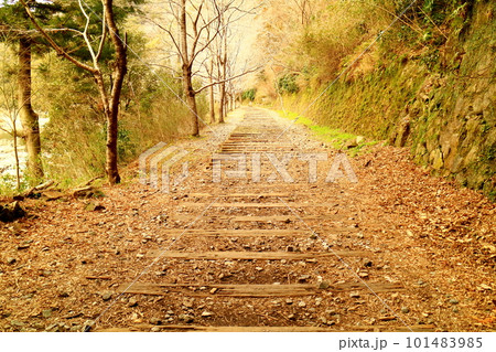 早春の旧福知山線 廃線敷 早春の旧福知山線 廃線敷 101483985
