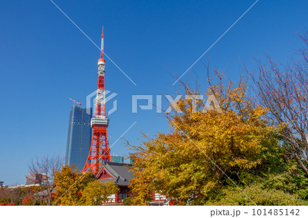 【東京の都市風景】紅葉の芝公園と東京タワー 【東京の都市風景】紅葉の芝公園と東京タワー 101485142