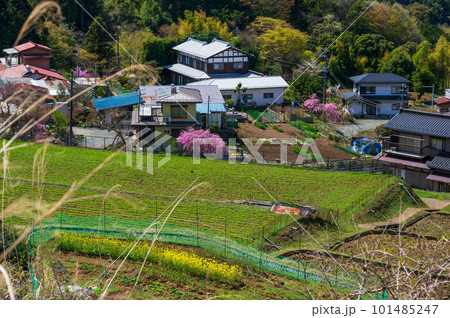 青根村の春景色 101485247