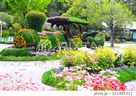 かわいい汽車 かわいい汽車 101485321