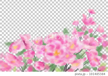 海棠（カイドウ）・花海棠の花カード2 101485384