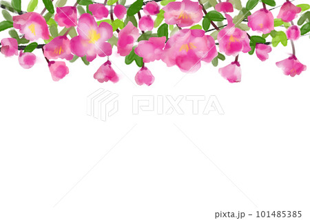 海棠（カイドウ）・花海棠の花カード3 101485385