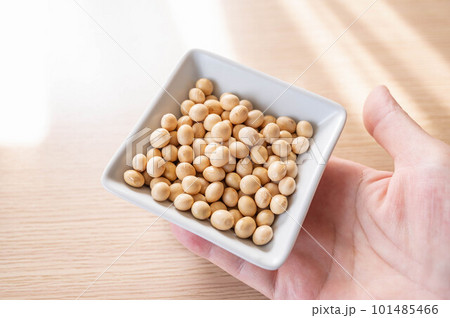 白い皿に盛った大豆 101485466