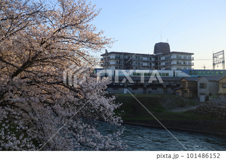 近鉄特急と桜 近鉄特急と桜 101486152