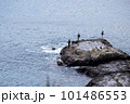 早朝の海で釣りをする人 101486553
