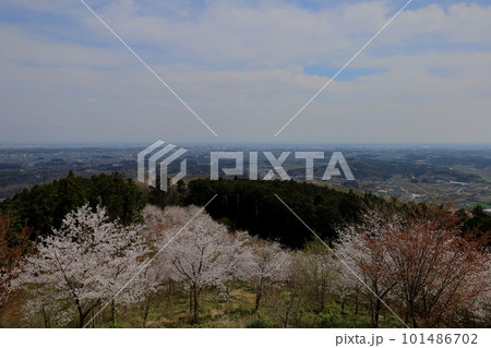 多気城跡の御殿平から宇都宮を一望 101486702