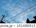 早朝の空と電線 101486913