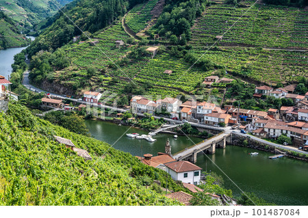 View of Canyon del Sil from Belesar in Parada de Sil in Galicia, Spain, Europe 101487084
