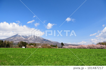 満開の桜と那須岳の風景 101487217