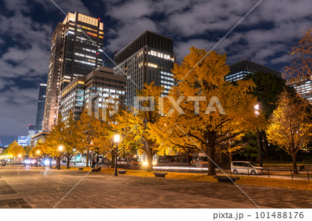 《東京都》秋の東京丸の内・色づくイチョウの行幸通り 《東京都》秋の東京丸の内・色づくイチョウの行幸通り 101488176