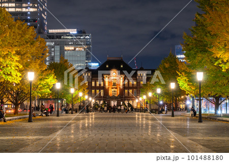 《東京都》秋の東京丸の内・色づくイチョウの行幸通り 101488180