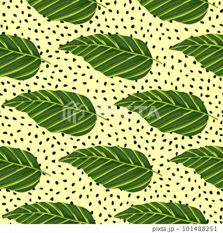 Decorative tropical palm leaves seamless pattern. Jungle leaf wallpaper. Exotic botanical texture. Decorative tropical palm leaves seamless pattern. Jungle leaf wallpaper. Exotic botanical texture. 101488251