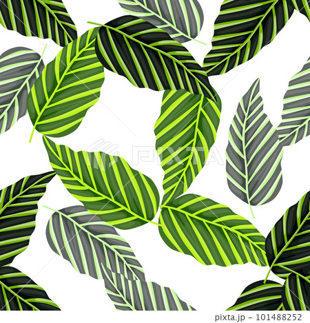 Decorative tropical palm leaves seamless pattern. Jungle leaf wallpaper. Exotic botanical texture. Decorative tropical palm leaves seamless pattern. Jungle leaf wallpaper. Exotic botanical texture. 101488252