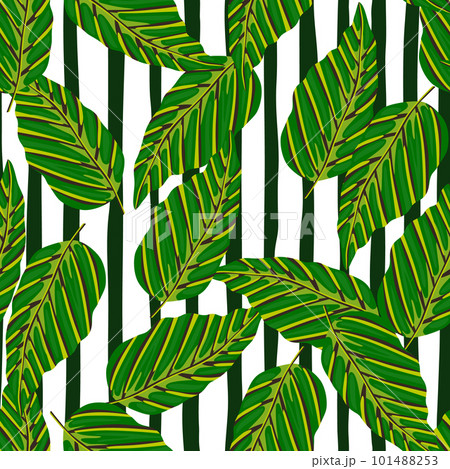 Decorative tropical palm leaves seamless pattern. Jungle leaf wallpaper. Exotic botanical texture. Decorative tropical palm leaves seamless pattern. Jungle leaf wallpaper. Exotic botanical texture. 101488253