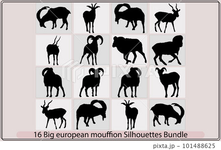 Big european moufflon silhouette bundle,Big european moufflon illustration,Big european moufflon vector, Big european moufflon silhouette bundle,Big european moufflon illustration,Big european moufflon vector, 101488625