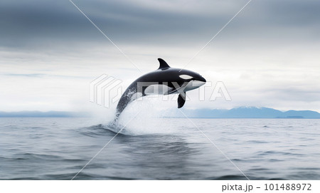 Orca - Killer whale - Genrative AI - AI generated 101488972