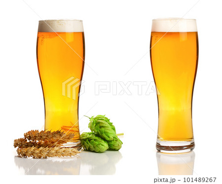 glass of foamy beer with hop cones and wheat isolated on white background 101489267