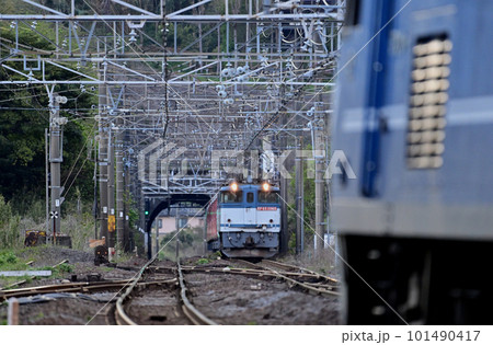 東海道本線　真鶴　JR貨物　EF65-2060（新鶴見）＋メトロ　2000系　EF210-6（岡山） 101490417
