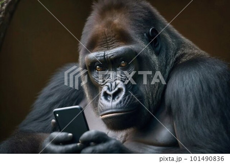 Gorilla monkey looking at smartphone.のイラスト素材 [101490836