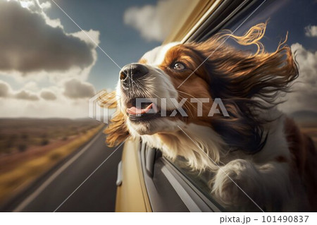 Dog hanging out of the window in driving car....のイラスト素材 [101490837] - PIXTA