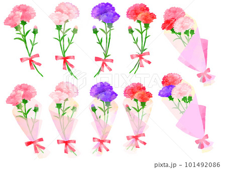 カーネーションのイラストセット　手描き　水彩風 101492086