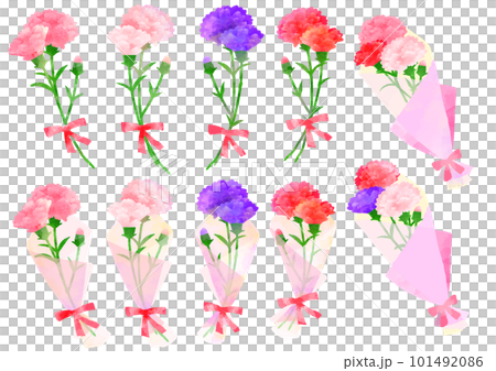 カーネーションのイラストセット　手描き　水彩風 101492086