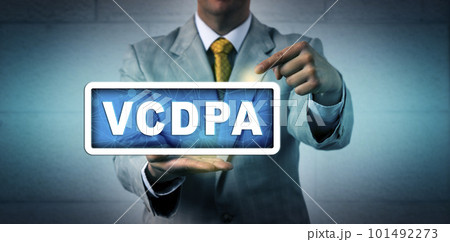Unrecognisable Law Expert Pointing At VCDPA 101492273