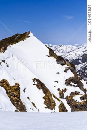 残雪期の谷川岳・トマノ耳から見たオキノ耳 残雪期の谷川岳・トマノ耳から見たオキノ耳 101493686