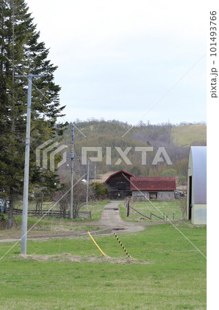 北海道　釧路地方　牧場のある風景 101493766