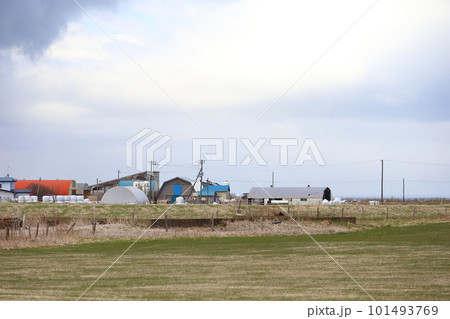 北海道 根室地方 牧場のある風景 北海道 根室地方 牧場のある風景 101493769