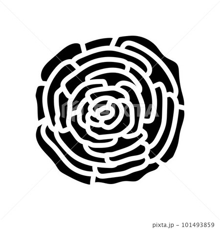 ranunculus flower spring glyph icon vector illustration 101493859