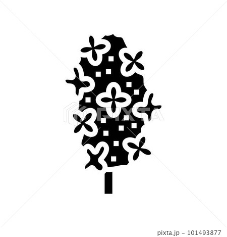 lilac flower spring glyph icon vector illustration lilac flower spring glyph icon vector illustration 101493877