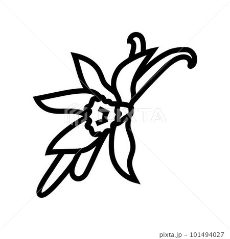 vanilla food herb line icon vector illustration 101494027