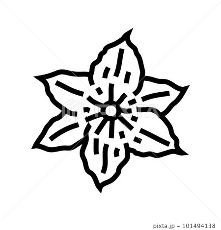 clematis flower spring line icon vector illustration clematis flower spring line icon vector illustration 101494138