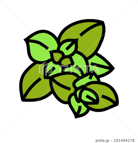 oregano food herb color icon vector illustration oregano food herb color icon vector illustration 101494278