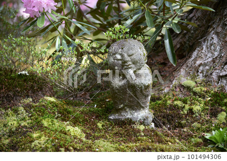 春の三千院　わらべ地蔵　京都市左京区大原 101494306