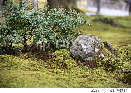 春の三千院　わらべ地蔵　京都市左京区大原 101494311